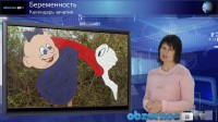 Календарь зачатия
